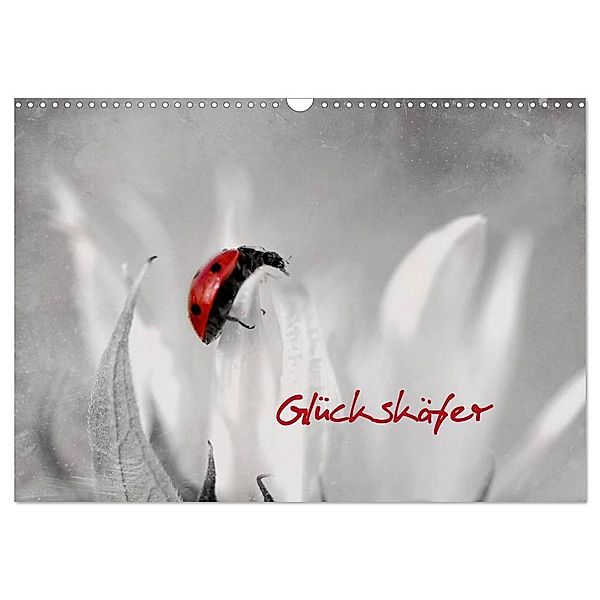 Glückskäfer (Wandkalender 2024 DIN A3 quer), CALVENDO Monatskalender, Heike Hultsch