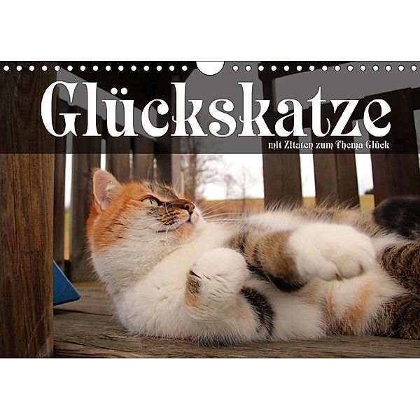 Glückskatze - Mit Zitaten zum Thema Glück (Wandkalender 2018 DIN A4 quer), Michael Gsödl