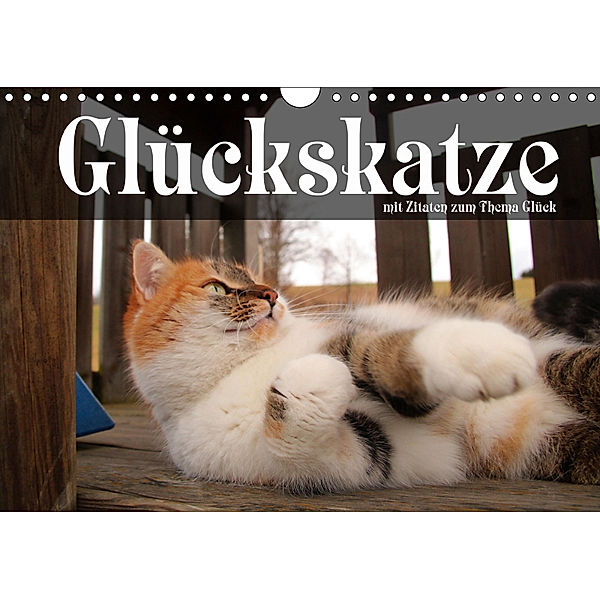 Glückskatze - Mit Zitaten zum Thema Glück (Wandkalender 2019 DIN A4 quer), Michael Gsödl