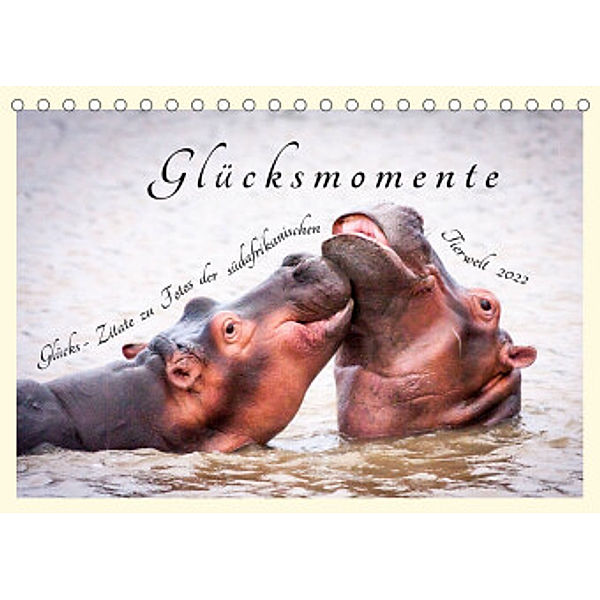 Glücksmomente Glücks-Zitate zu Fotos der großartigen südafrikanischen Tierwelt (Tischkalender 2022 DIN A5 quer), Lebensfreude Innere Stärke
