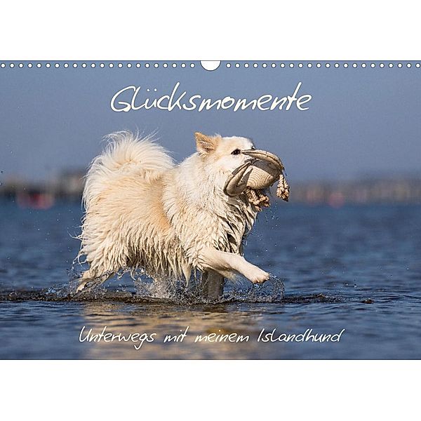 Glücksmomente - Unterwegs mit meinem Islandhund (Wandkalender 2023 DIN A3 quer), Monika Scheurer