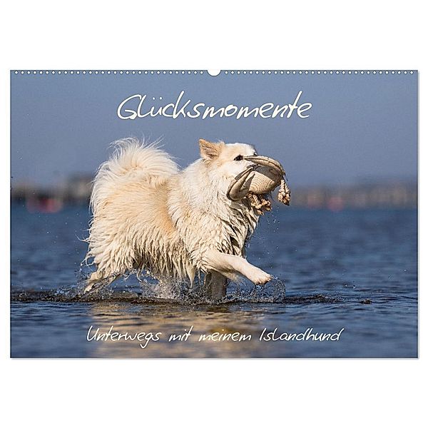 Glücksmomente - Unterwegs mit meinem Islandhund (Wandkalender 2024 DIN A2 quer), CALVENDO Monatskalender, Monika Scheurer