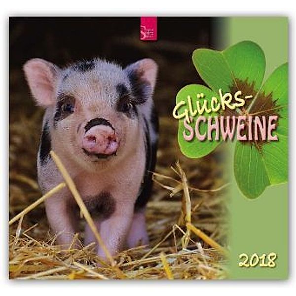 Glücksschweine 2018