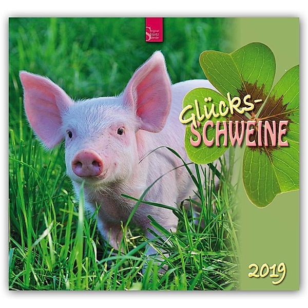 Glücksschweine 2019
