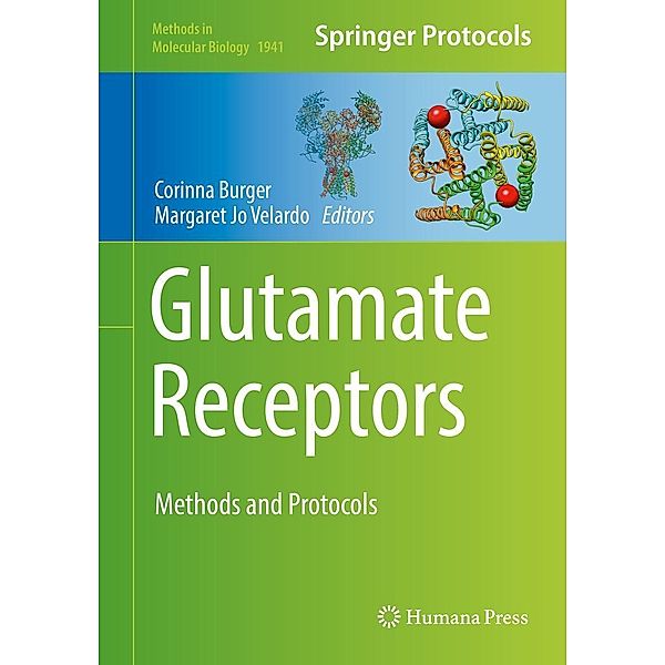 Glutamate Receptors / Methods in Molecular Biology Bd.1941