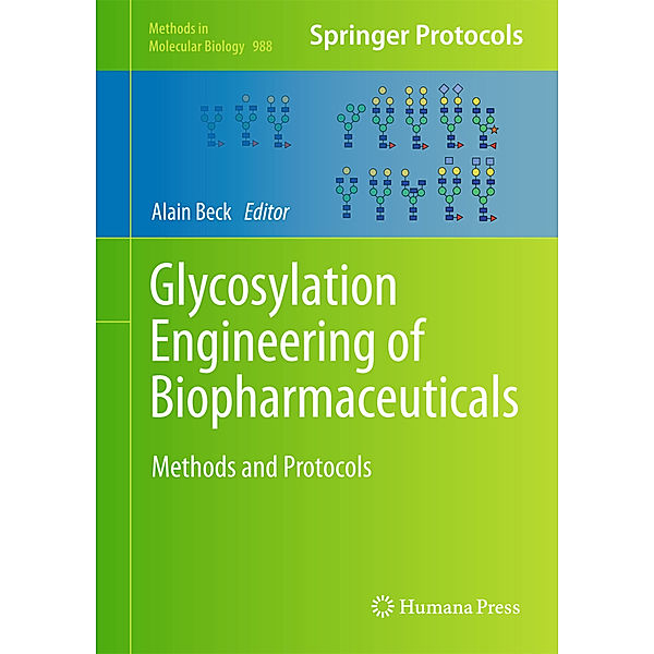 Glycosylation Engineering of Biopharmaceuticals