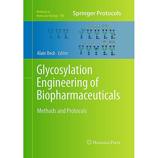 Glycosylation Engineering of Biopharmaceuticals