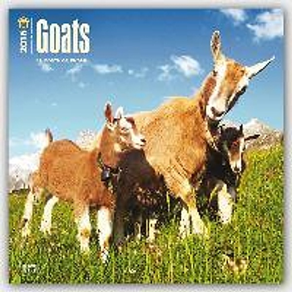 Goats 2016