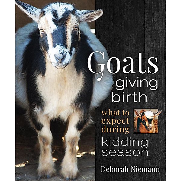 Goats Giving Birth, Deborah Niemann