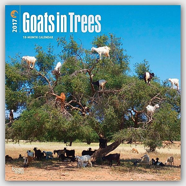 Goats in Trees 2017 Square, Inc Browntrout Publishers