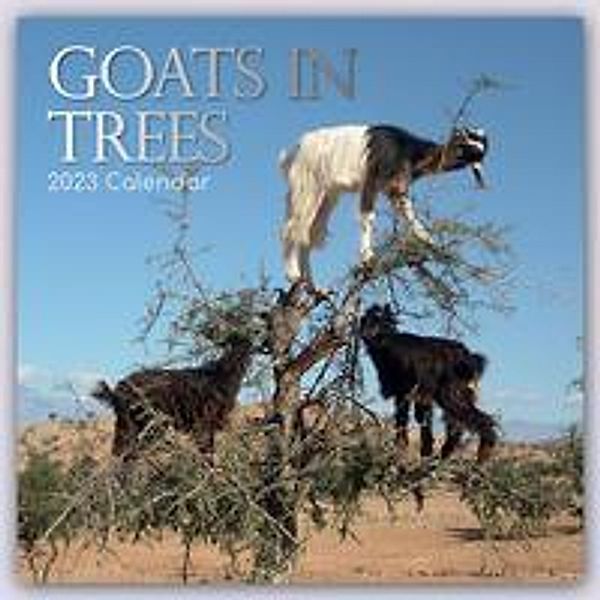 Goats in Trees - Ziegen auf Bäumen 2023 - 16-Monatskalender, Gifted Stationery Co. Ltd