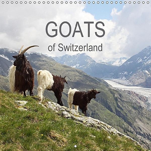 Goats of Switzerland (Wall Calendar 2017 300 × 300 mm Square), Melanie Weber, Melanie Weber www.tiefblicke.ch