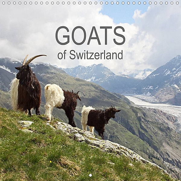 Goats of Switzerland (Wall Calendar 2023 300 × 300 mm Square), Melanie Weber  www.tiefblicke.ch