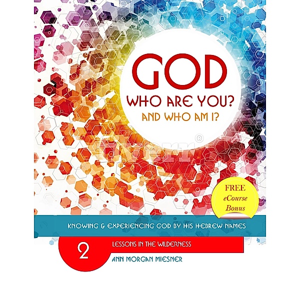 God Who Are You? And Who Am I? Knowing and Experiencing God by His Hebrew Names: Lessons in the Wilderness / God Who Are You?, Ann Morgan Miesner