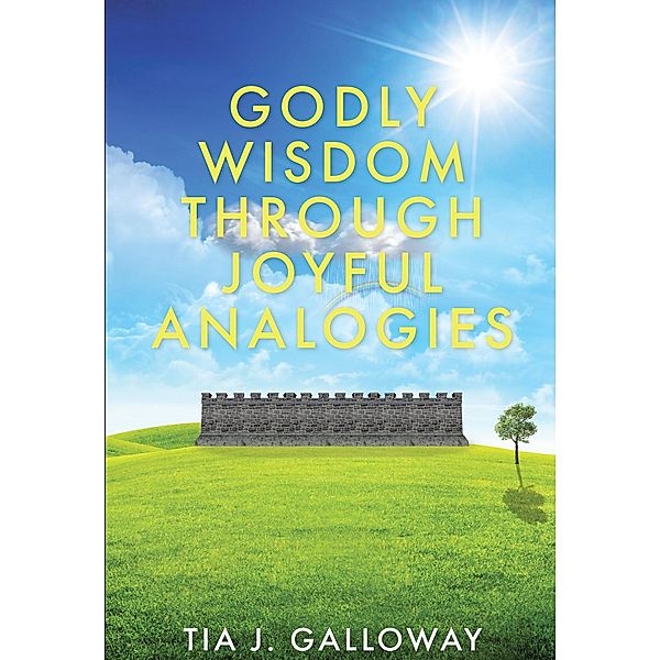 Godly Wisdom through Joyful Analogies, Tia J. Galloway