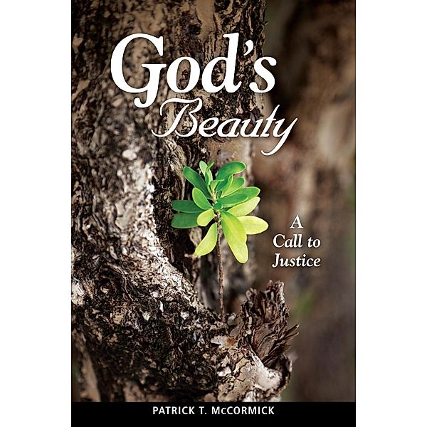 God's Beauty, Patrick T. McCormick