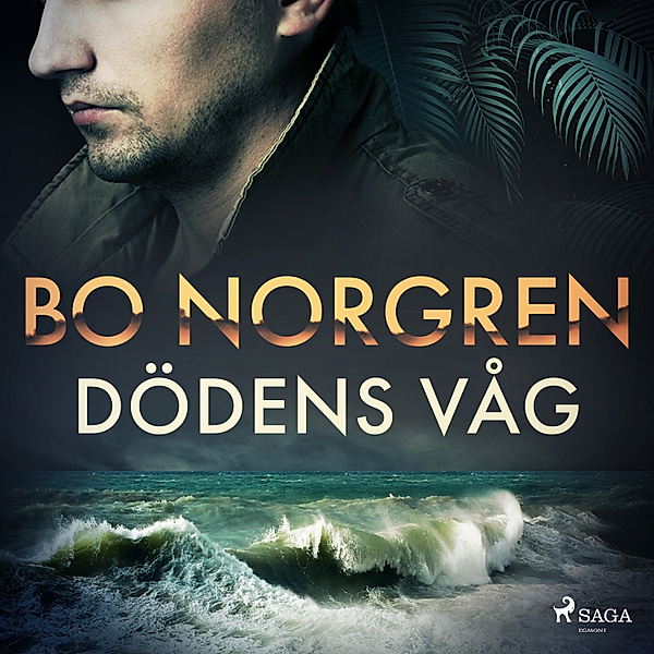 Göran Ålund - 5 - Dödens våg, Bo Norgren