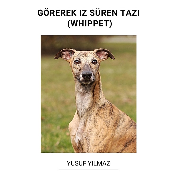 Görerek iz Süren Tazi (Whippet), Yusuf Yilmaz