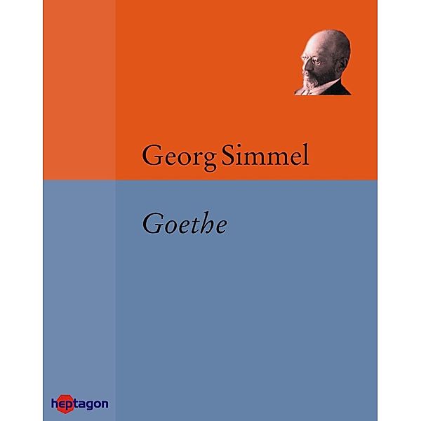 Goethe, Georg Simmel