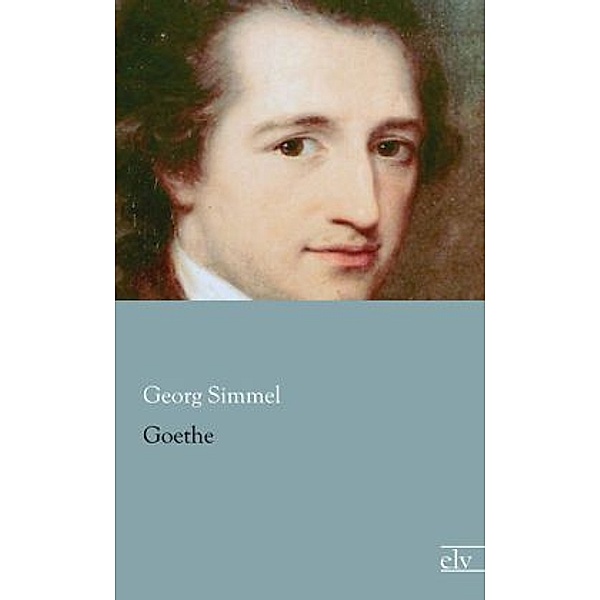 Goethe, Georg Simmel