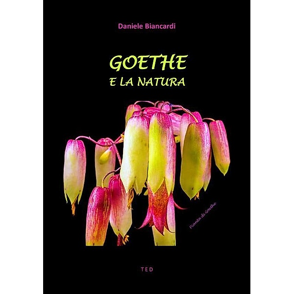 Goethe e la Natura, Daniele Biancardi