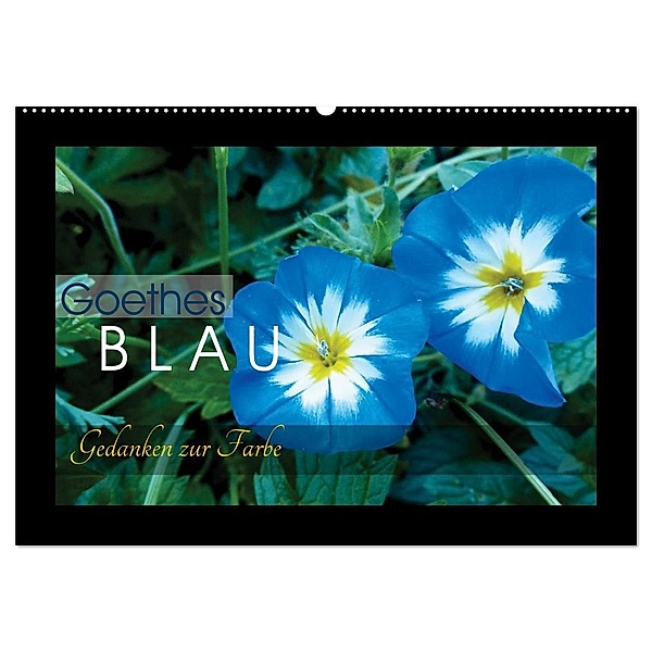 Goethes Blau. Gedanken zur Farbe (Wandkalender 2024 DIN A2 quer), CALVENDO Monatskalender, Lucy M. Laube