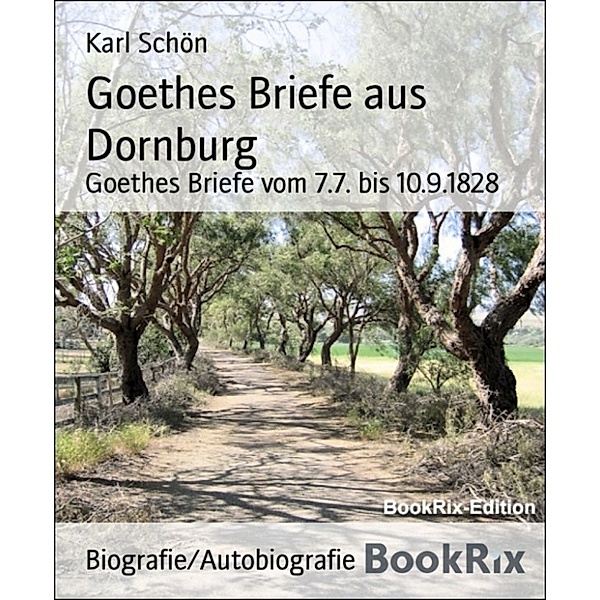 Goethes Briefe aus Dornburg, Karl Schön