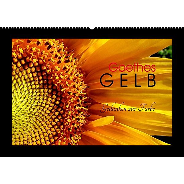 Goethes Gelb Gedanken zur Farbe (Wandkalender 2023 DIN A2 quer), Lucy M. Laube