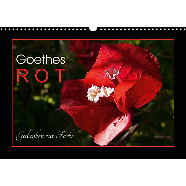 Goethes Rot. Gedanken zur Farbe (Wandkalender 2019 DIN A3 quer), Lucy M. Laube