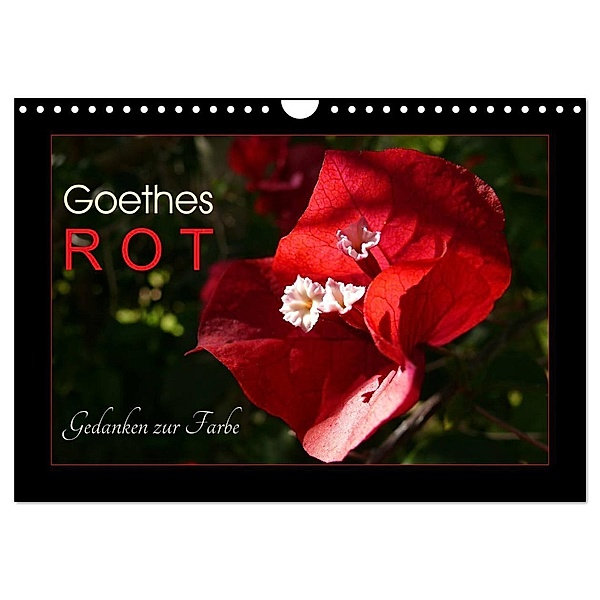 Goethes Rot. Gedanken zur Farbe (Wandkalender 2024 DIN A4 quer), CALVENDO Monatskalender, Lucy M. Laube