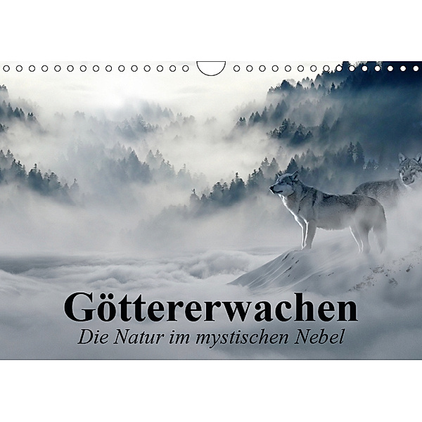 Göttererwachen. Die Natur im mystischen Nebel (Wandkalender 2019 DIN A4 quer), Elisabeth Stanzer