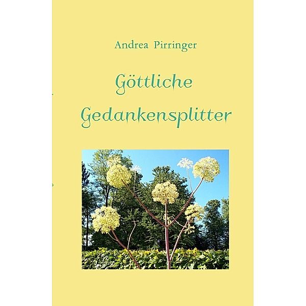 Göttliche Gedankensplitter, Andrea Pirringer