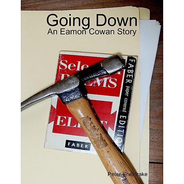 Going Down: An Eamon Cowan Story, Peter Sheldrake