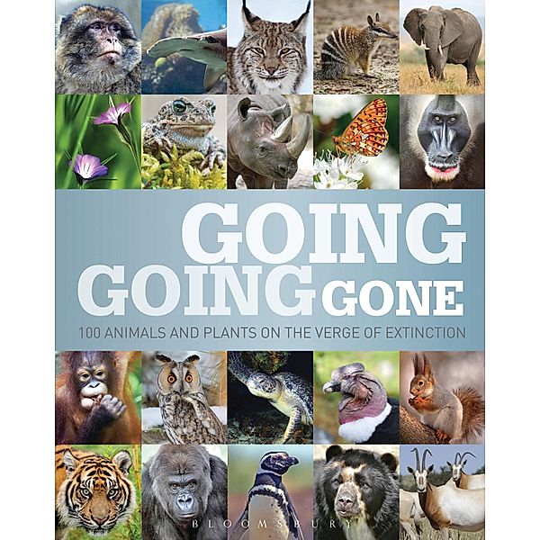 Going, Going, Gone, Bloomsbury Publishing