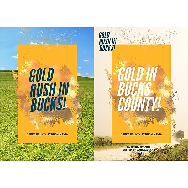 Gold in Bucks County, Kerry Stickel