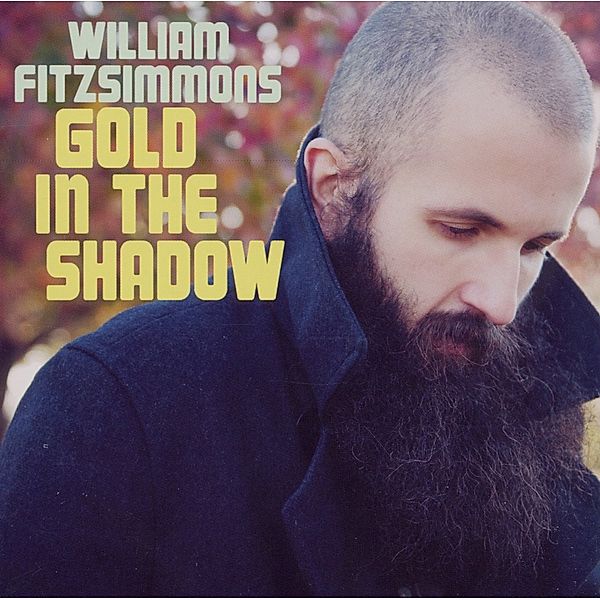 Gold In The Shadow, William Fitzsimmons
