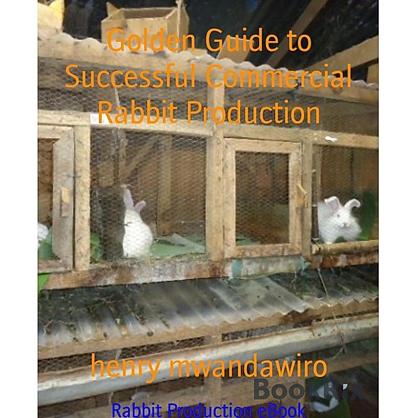 Golden Guide to Successful Commercial Rabbit Production, Henry Mwandawiro