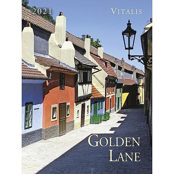 Golden Lane 2021, Harald Salfellner