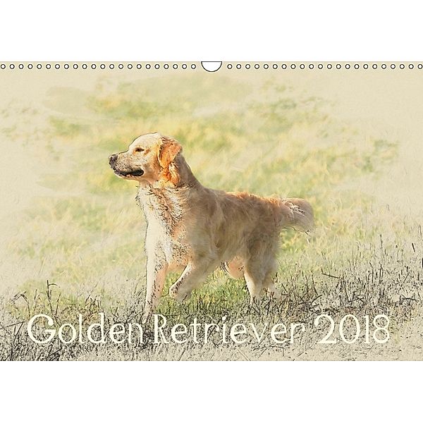 Golden Retriever 2018 (Wandkalender 2018 DIN A3 quer) Dieser erfolgreiche Kalender wurde dieses Jahr mit gleichen Bilder, Andrea Redecker