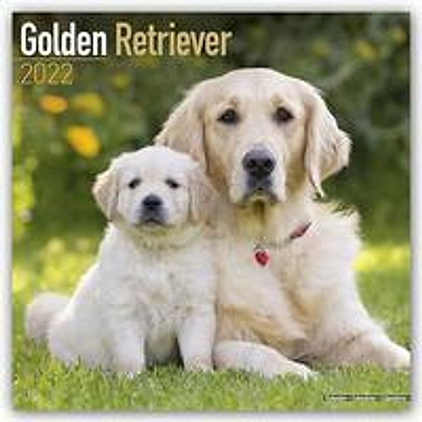 Golden Retriever 2022 - 16-Monatskalender, Avonside Publishing Ltd