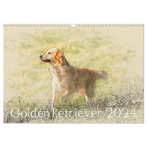 Golden Retriever 2024 (Wandkalender 2024 DIN A3 quer), CALVENDO Monatskalender, Andrea Redecker