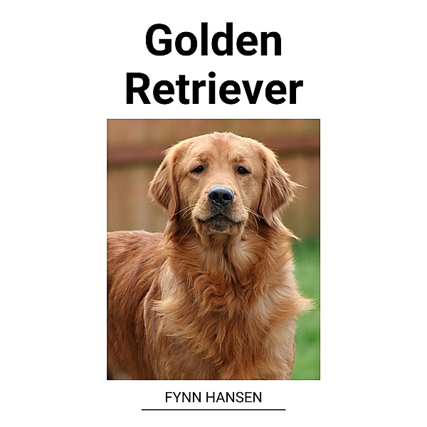Golden Retriever, Fynn Hansen