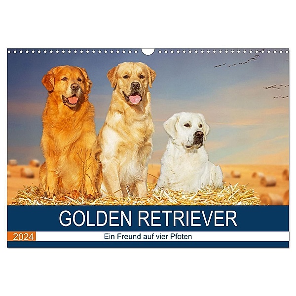 Golden Retriever - Ein Freund auf vier Pfoten (Wandkalender 2024 DIN A3 quer), CALVENDO Monatskalender, Sigrid Starick