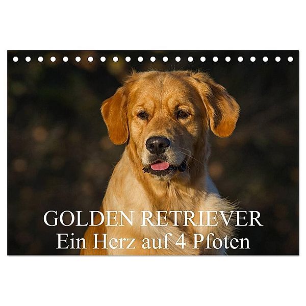 Golden Retriever - Ein Herz auf 4 Pfoten (Tischkalender 2024 DIN A5 quer), CALVENDO Monatskalender, Sigrid Starick