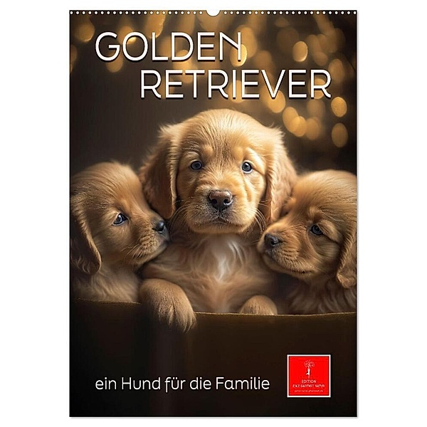 Golden Retriever - ein Hund für die Familie (Wandkalender 2024 DIN A2 hoch), CALVENDO Monatskalender, Peter Roder