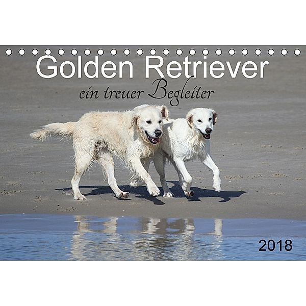 Golden Retriever ein treuer Begleiter (Tischkalender 2018 DIN A5 quer), SchnelleWelten