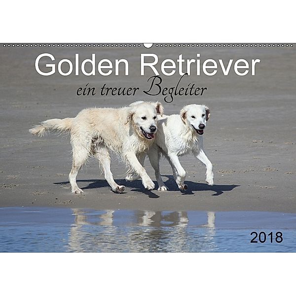 Golden Retriever ein treuer Begleiter (Wandkalender 2018 DIN A2 quer), SchnelleWelten