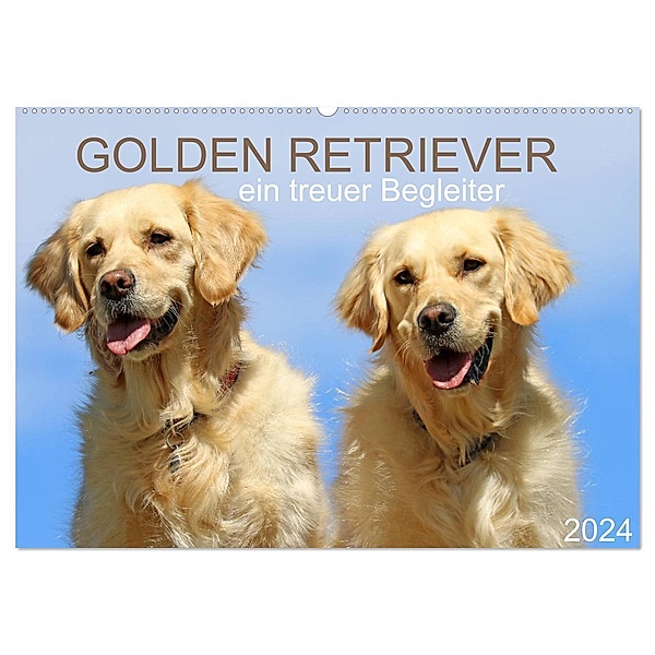 Golden Retriever ein treuer Begleiter (Wandkalender 2024 DIN A2 quer), CALVENDO Monatskalender, Schnellewelten