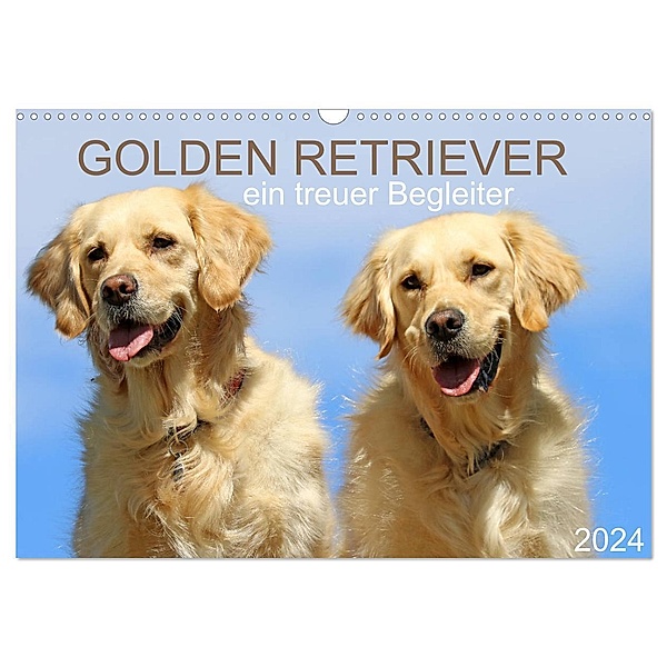 Golden Retriever ein treuer Begleiter (Wandkalender 2024 DIN A3 quer), CALVENDO Monatskalender, Schnellewelten