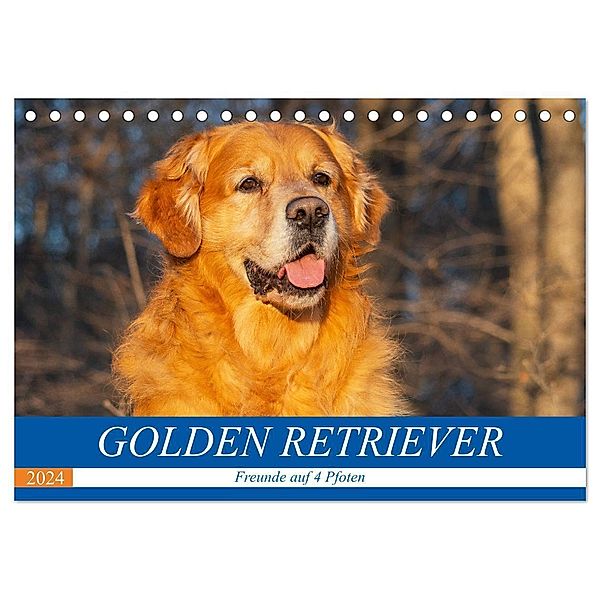 Golden Retriever - Freunde auf 4 Pfoten (Tischkalender 2024 DIN A5 quer), CALVENDO Monatskalender, Sigrid Starick